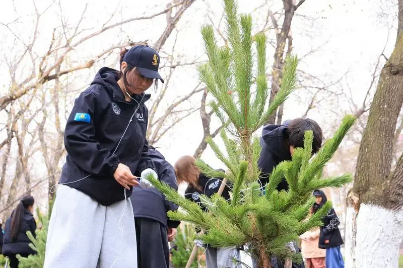 «Таза Қазақстан»: В Караганде за день посадили 400 деревьев (10)
