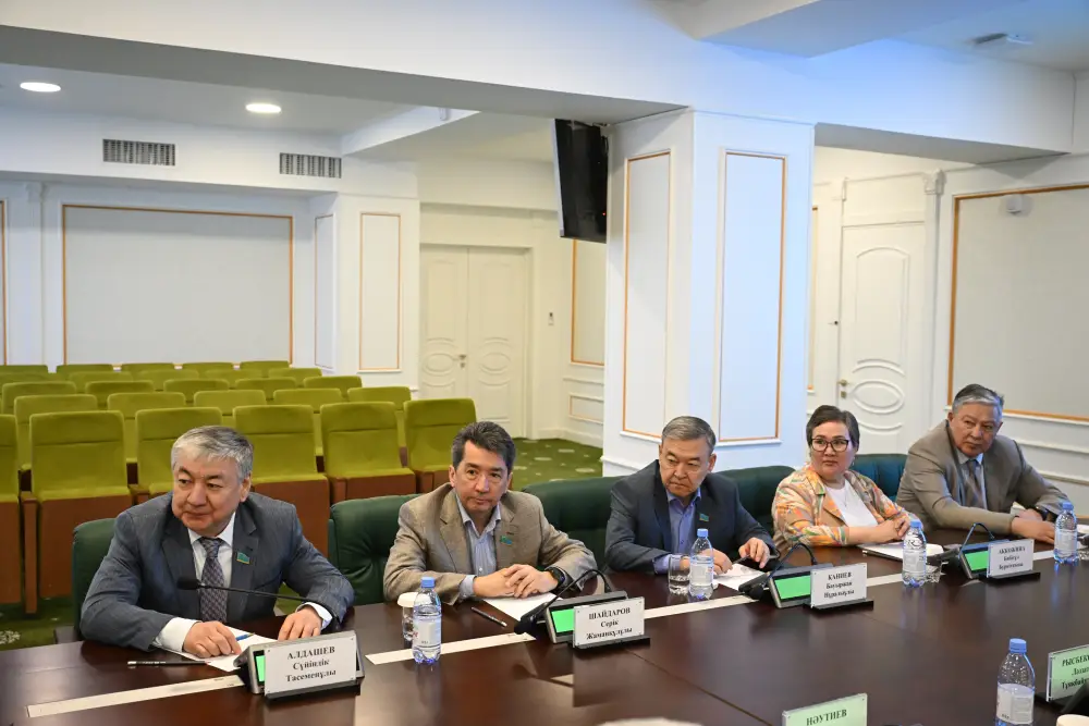 Обсуждение экономического роста Жетісу: взаимодействие власти и предпринимателей Астане