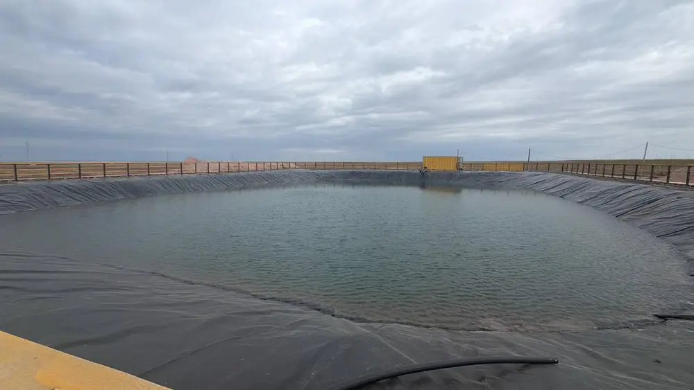 Аким Акмолинской области посетил лесопитомник в Шортандинском районе (3)