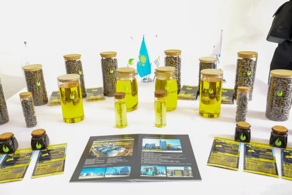 Олжас Бектенов проверил исполнение поставленных Президентом задач по реализации индустриальных и социальных проектов в области Абай (4)