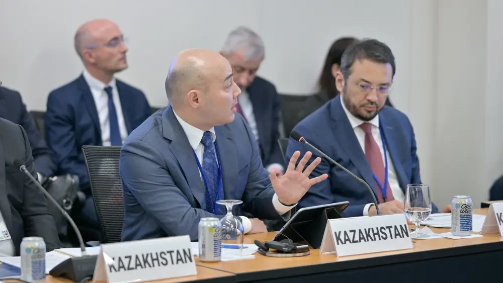 Казахстан предложил Всемирному банку провести конференцию по устойчивому экономическому росту (5)