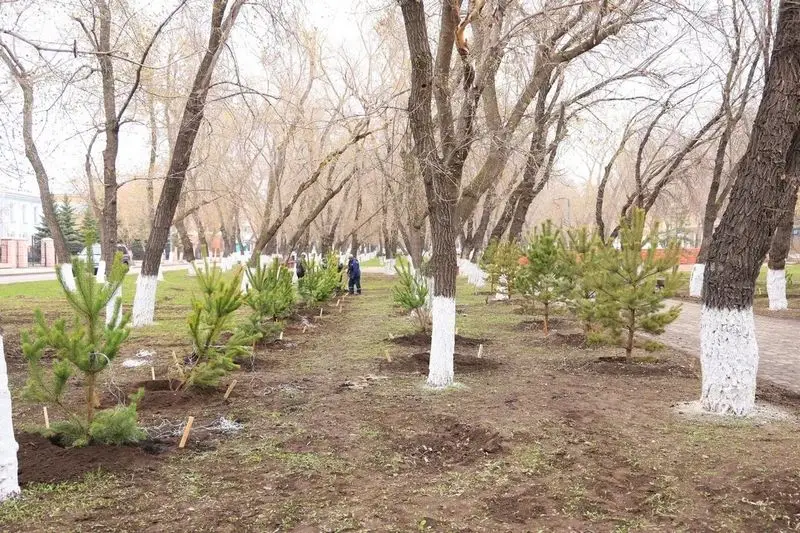 «Таза Қазақстан»: В Караганде за день посадили 400 деревьев (8)
