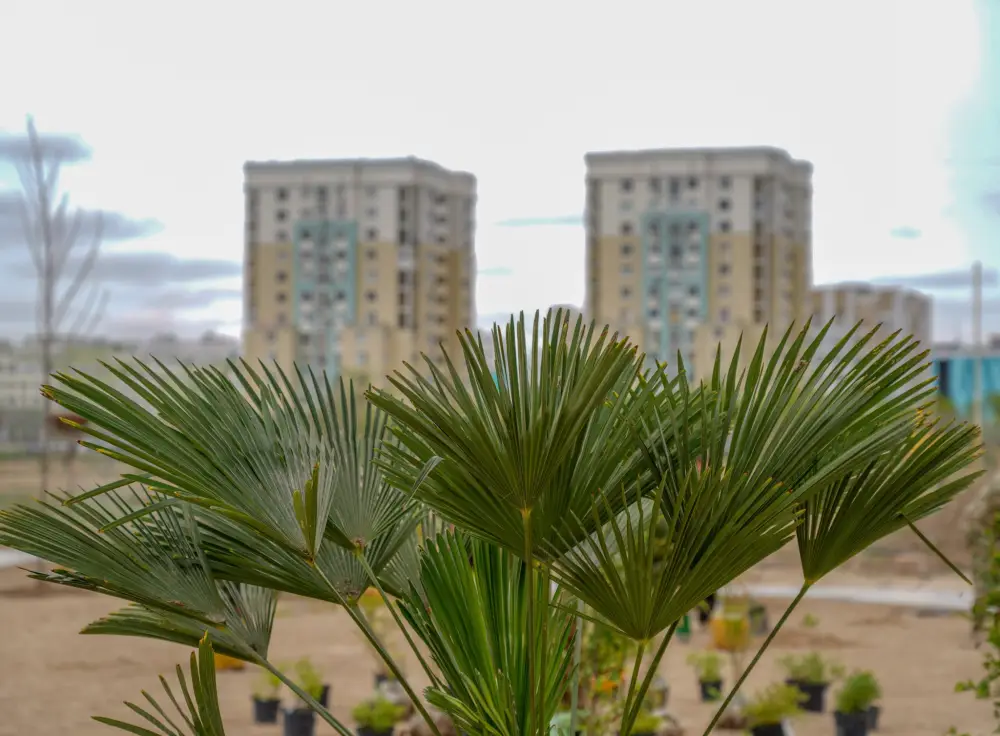 “ТАЗА ҚАЗАҚСТАН”: ТУРКЕСТАНСКОЙ “ТАЗА ҚАЛА” И “ТАЗА АУЫЛ”, ВЫВЕЗЕНО 2 ТЫСЯЧИ ТОНН МУСОРА (4)