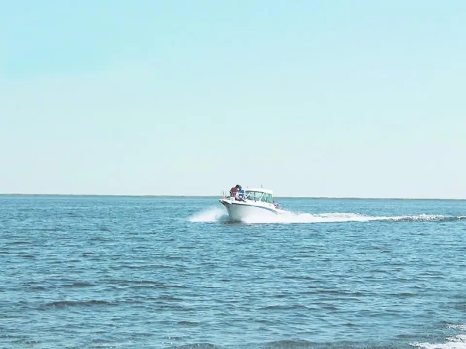 В Жетісу земельные участки на берегу озера Балхаш будут предложены инвесторам через открытый аукцион (4)