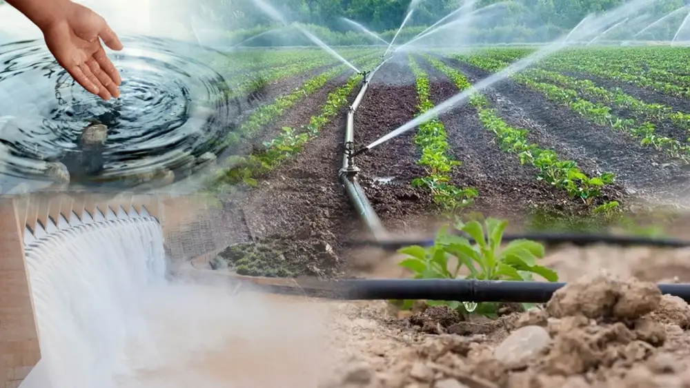 Увеличение субсидий на поливную воду: последствия для аграриев и устойчивого водопользования Астане