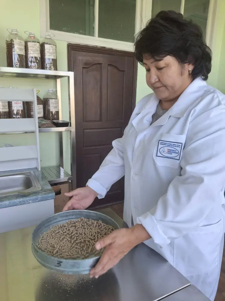 Ученые работают над комбикормами нового поколения для снижения затрат в животноводстве Астане