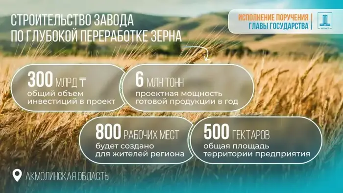 Завод по глубокой переработке зерна в Акмолинской области одобрен правительством Казахстана Астане