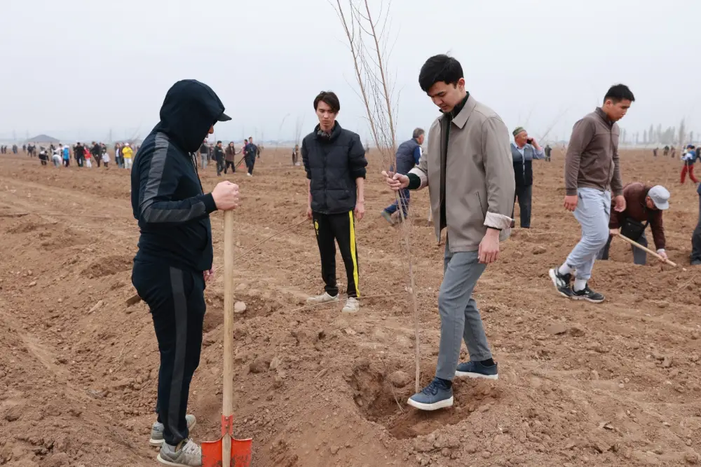 Таза Қазақстан: в Таразе высажено 10 тысяч деревьев (9)