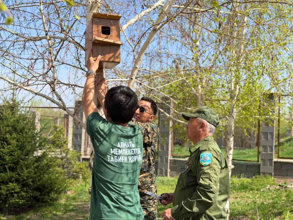 ЭКОЛОГИЧЕСКАЯ АКЦИЯ «ОДНО ДЕРЕВО – ВКЛАД В БУДУЩЕЕ» (5)