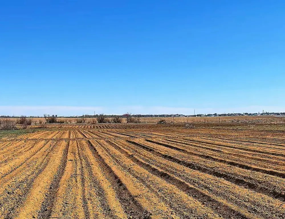 В Шалкарском районе набирают темпы весенне-полевые работы (2)