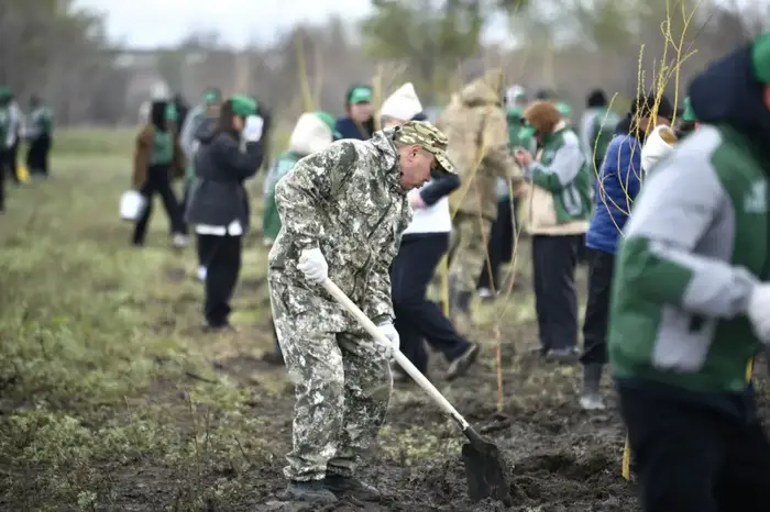 ТАЗА ҚАЗАҚСТАН: ВЫСАЖЕНО 1000 САЖЕНЦЕВ ДЕРЕВЬЕВ (5)