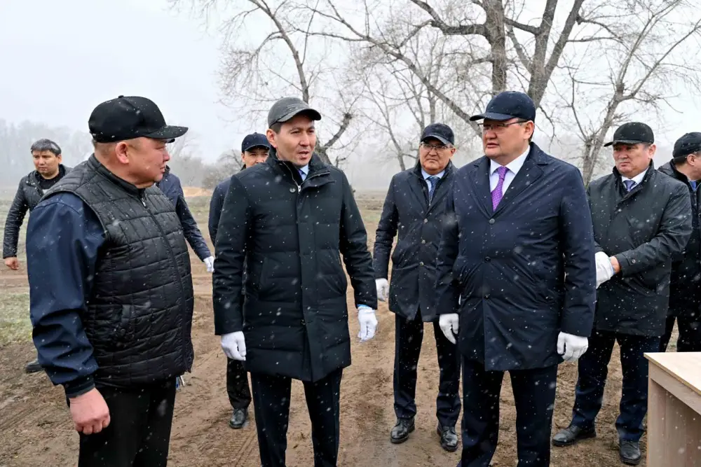 Экологическая акция «Таза Қазақстан»: более тысячи деревьев высажены в Семее Астане