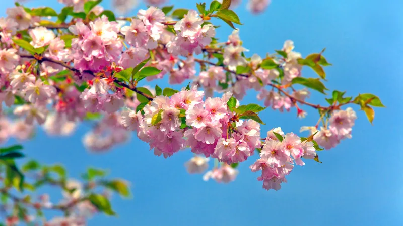 Астана и Алматы: дождь не везде, но где? Астане