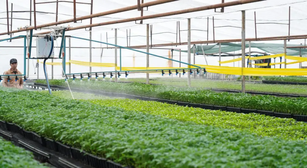 В ТУРКЕСТАНСКОЙ ОБЛАСТИ ЗАКУПЛЕНО 223 ЕДИНИЦЫ НОВОЙ СЕЛЬХОЗТЕХНИКИ (4)