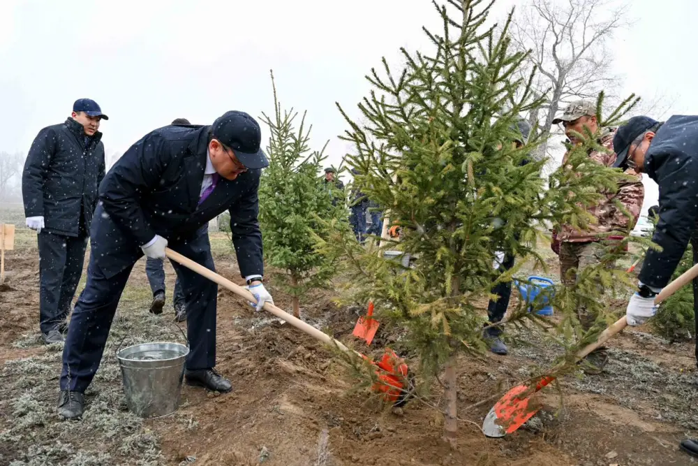Представители фонда «Самрук-Казына» приняли участие в акции по посадке деревьев в Семее (9)
