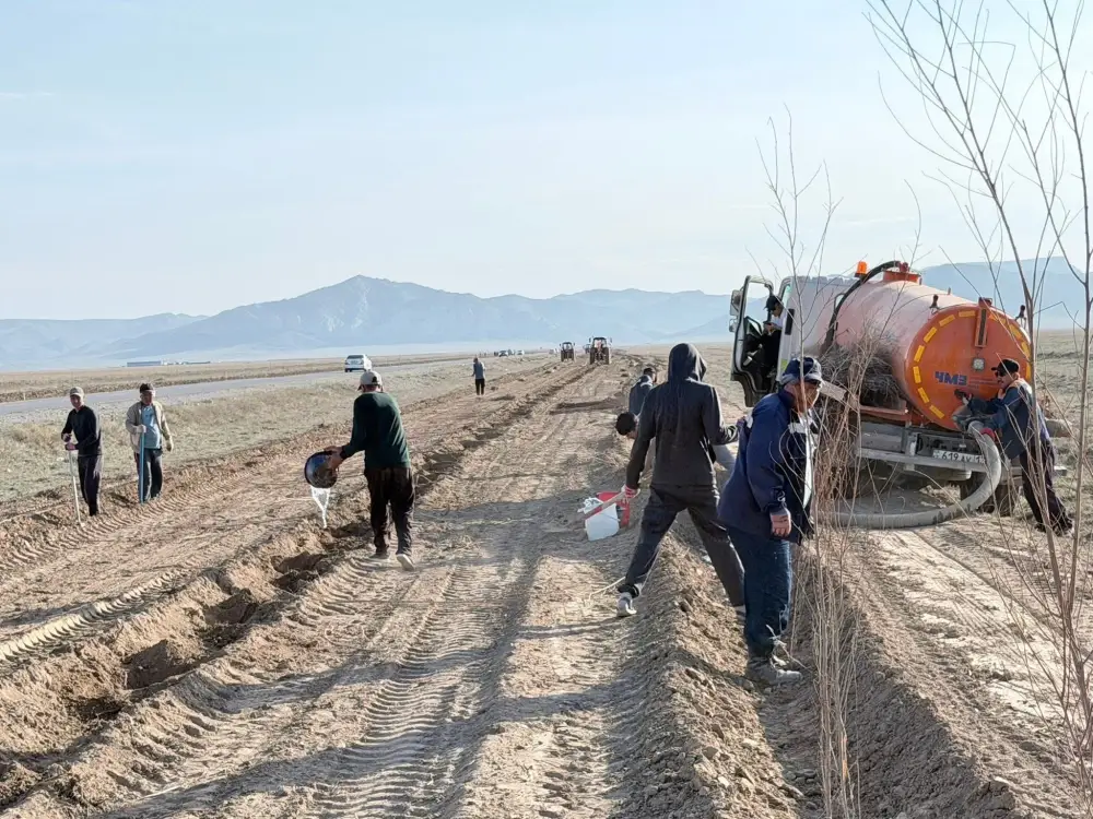 Созак: зелёный пояс растёт на 3 километра! Астане