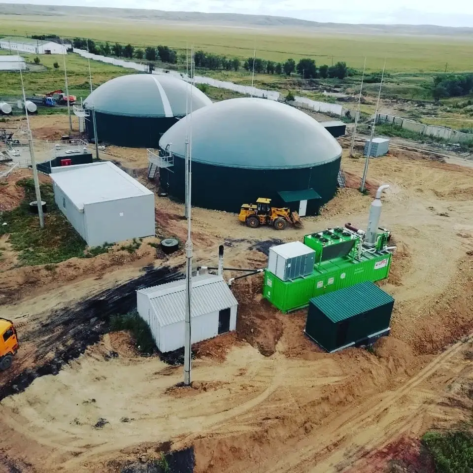 15 млн киловатт-часов электроэнергии из птичьего помета произвела казахстанская птицефабрика (8)