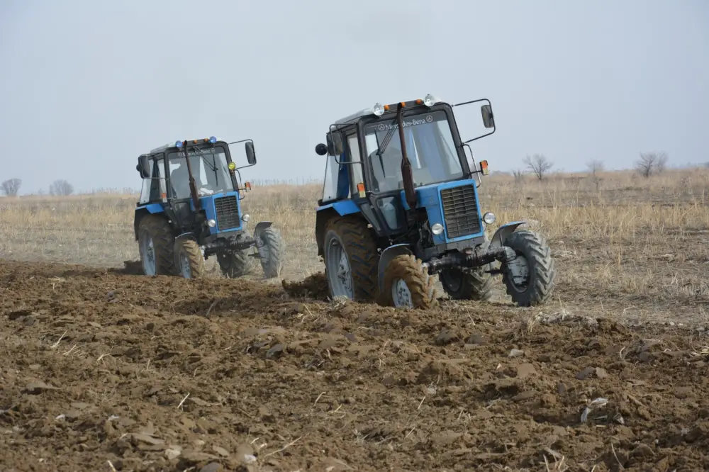 В Жамбылской области в 2026 году сельхозкультуры разместят на площади 665,4 тыс. гектаров (6)