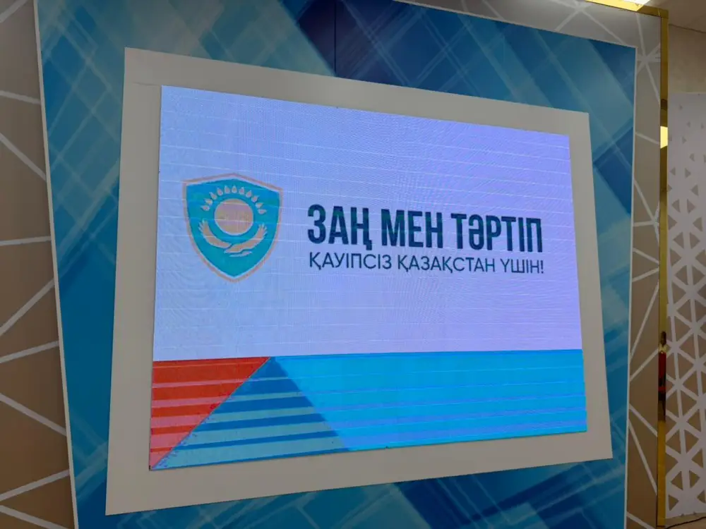 «Закон и порядок»: вопросы защиты прав детей обсудили за круглым столом в Астане (2)