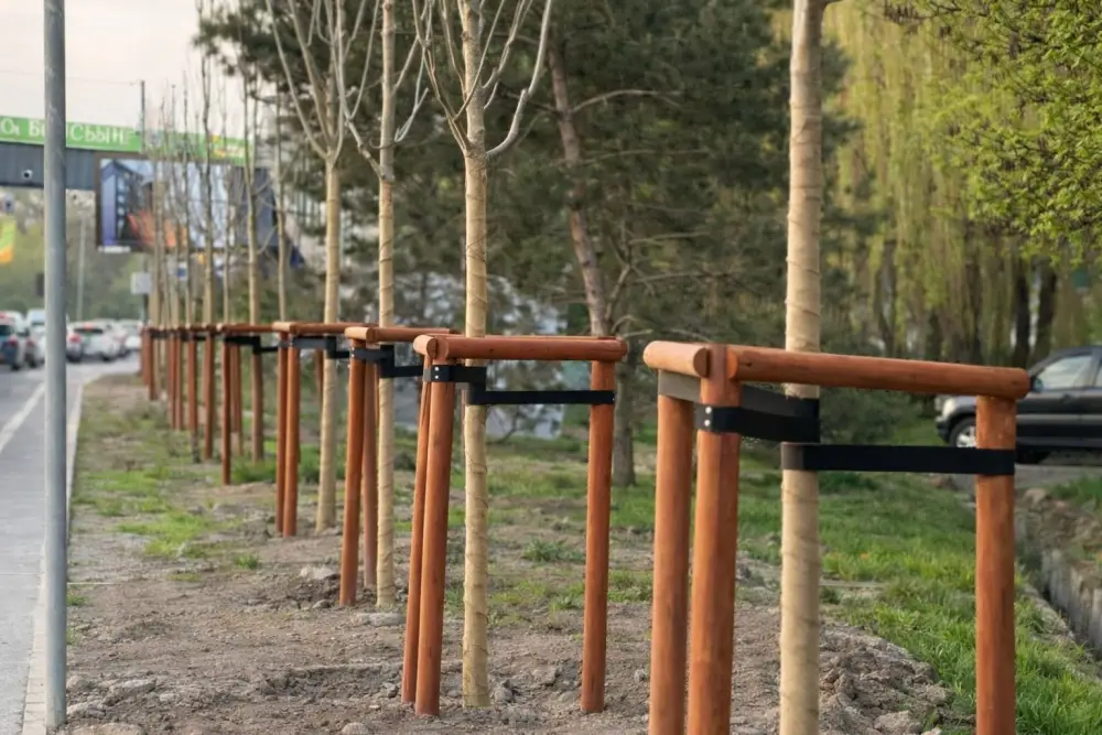 Зеленый щит Алматы: в Медеуском районе растет новый лес жизни с автополивом Астане