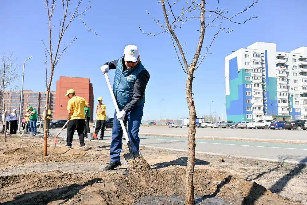Аким области принял участие в акции по посадке деревьев в Семее (2)