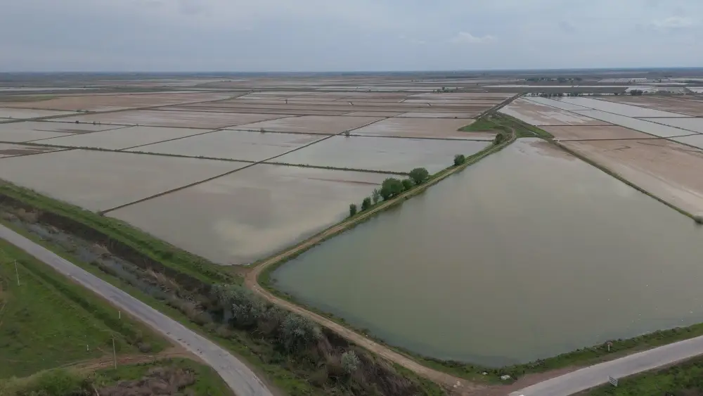 ??400 млн кубометров воды было подано для промывки почвы в Туркестанской области (3)