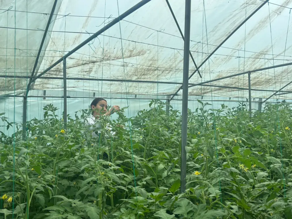 ШЫМКЕНТ: В IT-ЛИЦЕЕ №89 ПРОШЕЛ ЭКУРОК ПО СОРТИРОВКЕ ОТХОДОВ Астане