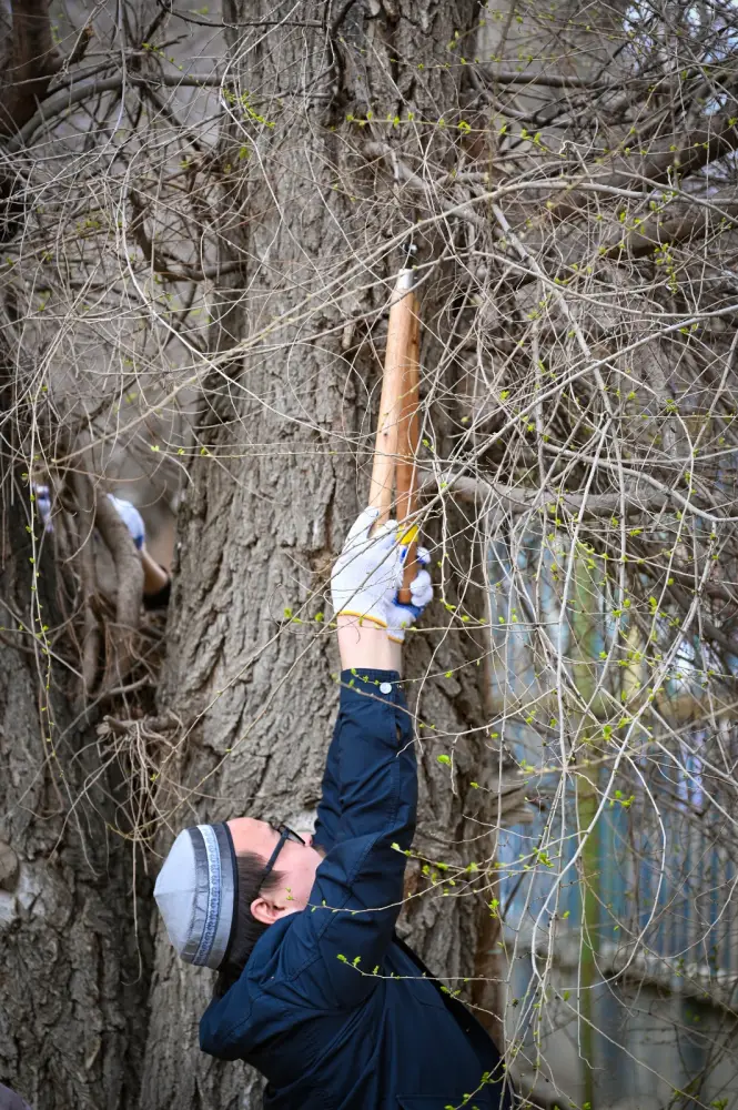 Таза Қазақстан: в Актобе прошла масштабная акция «Таза қала» (2)