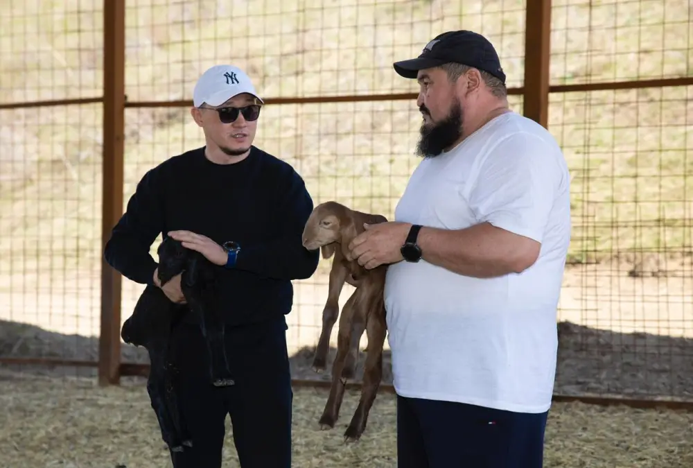 Пастбища Жамбылского района: овечьи стада готовятся к весеннему пробуждению Астане