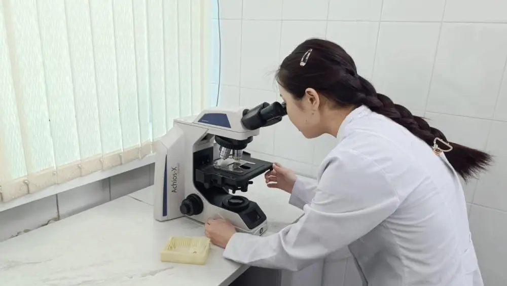 Открытие селекционного центра в Абайской области: новые перспективы для овцеводства Астане