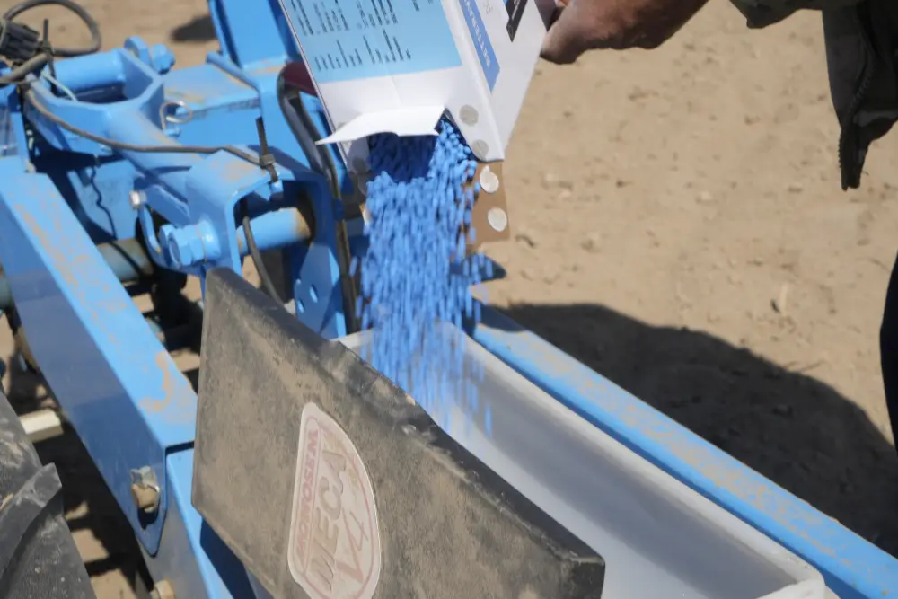 В Жетісу стартовал сев сахарной свёклы на 13 тыс. гектаров (2)