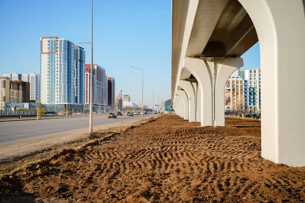 Миллион зеленых насаждений высадят в Астане в текущем году (5)