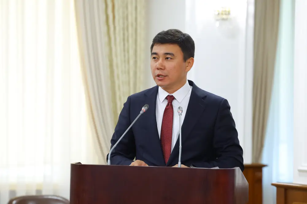 В Правительстве рассмотрены вопросы доступной среды и жилищной поддержки (3)