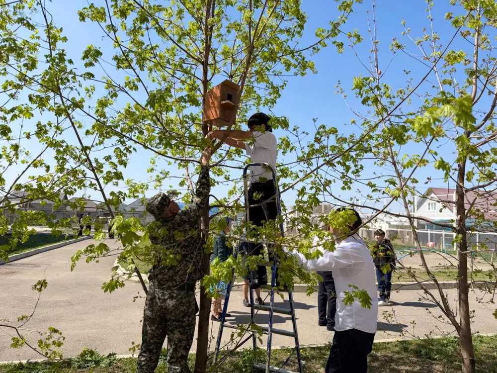 ЭКОЛОГИЧЕСКАЯ АКЦИЯ «ОДНО ДЕРЕВО – ВКЛАД В БУДУЩЕЕ» (4)