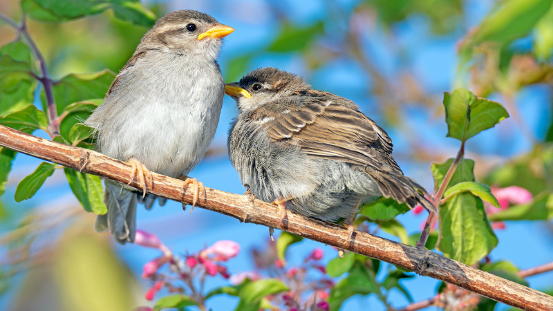 Синоптики прогнозируют потепление в Астане и Алматы: что ждать в ближайшие дни? Астане