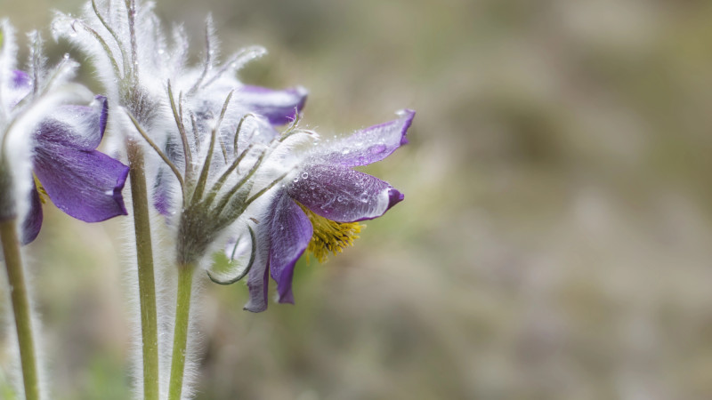 Синоптики Казгидромета уточнили прогноз погоды для Астаны и Алматы на 4, 5 и 6 апреля, сообщив, что похолодание отменяется. В ближайшие дни ожидается более теплое и комфортное weather conditions. Астане