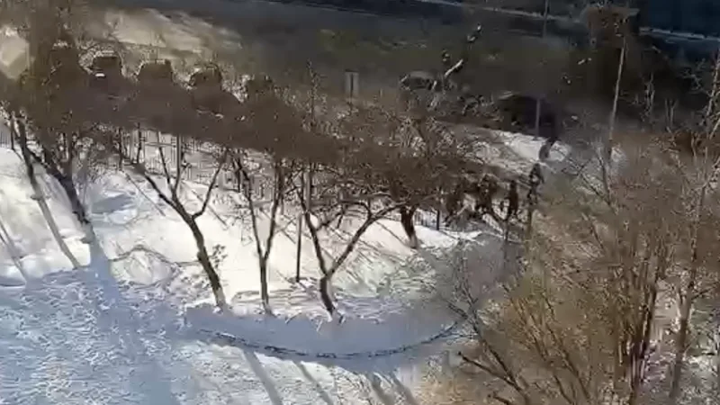 В Астане школьный конфликт перерос в жестокое избиение: пострадавшему выбили зубы Астане