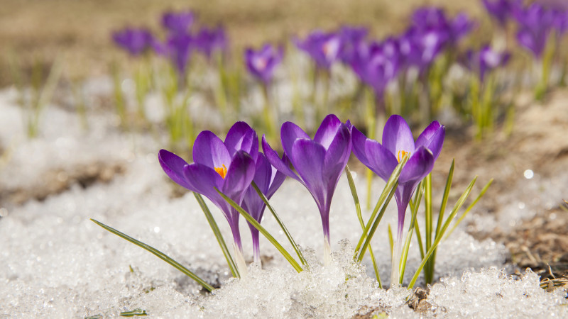 Казахстан: март 2026 года удивил температурными контрастами Астане