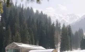 Кофе за чистоту: убери мусор в горах!