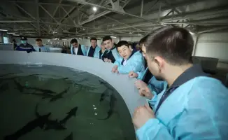 Проект по производству икры в Мангистау: новые горизонты для экономики и продовольственной безопасности региона