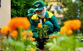 ТУРКЕСТАН: Улучшение городской инфраструктуры в Кентау способствует экологической устойчивости и повышению качества жизни