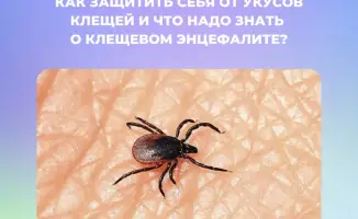 Рост числа укусов клещей в Казахстане: последствия для здоровья и необходимость профилактики