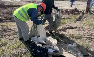 Массовая акция по посадке деревьев в Астане: участие 120 тыс. жителей и 3,5 тыс. организаций