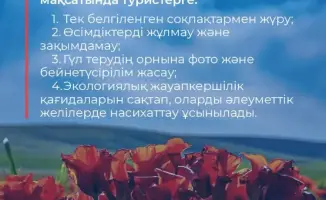 Сохранение тюльпанов Грейга в Казахстане: ключ к развитию экологического туризма