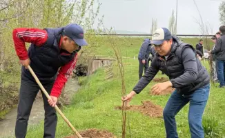 Посадка 9000 деревьев в Толеби: шаг к устойчивому экологическому развитию региона