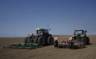 В Жетісу начался сев сахарной свёклы на 13 тыс. гектаров с поддержкой государства