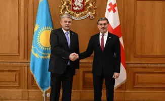 Казахстан Грузия стратегическое партнерство сотрудничество