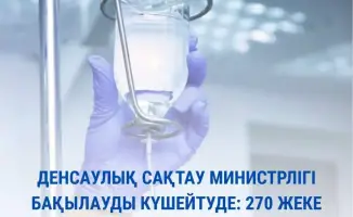 270 кабинетов закрылись: проверка или страх?