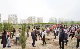 Туркестан: высажено 2200 деревьев в рамках экоакции