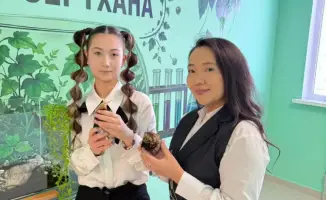 Астанинская школьница разводит улиток для косметологов и создала террариум в школе